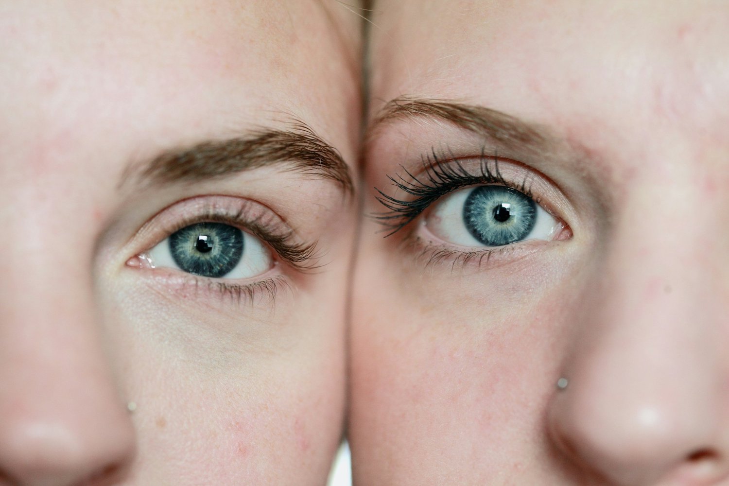 Perception — vi opfatter verden forskelligt